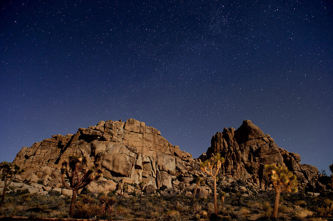 Stars in sky over desert, Joshua Tree, California, United States