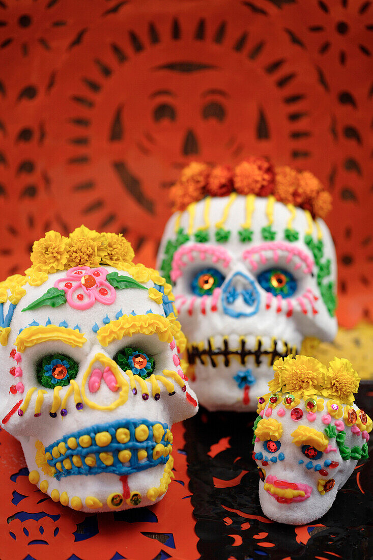 Decorated skulls for Day of the Dead celebration, Santa Fe, New Mexico, USA