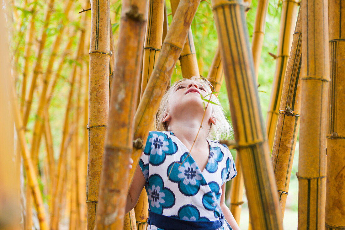 Caucasian girl looking at bamboo stalks, Kauai, Hawaii, USA