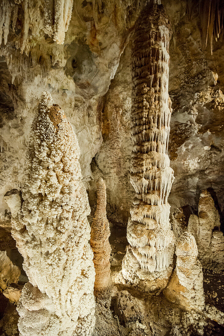 Tropfsteinhöhle, Grotte di Toirano, Toirano, Provinz Savona, Ligurien, Italien