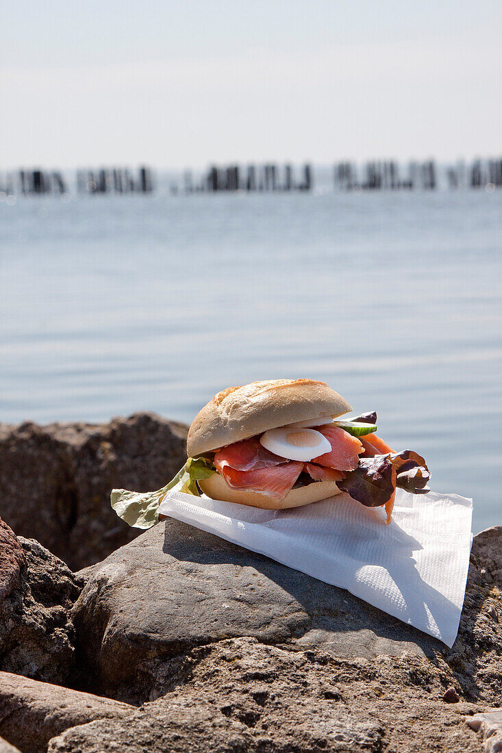 Fish Roll with salmon, Polchow, Mecklenburg-Vorpommern, Germany