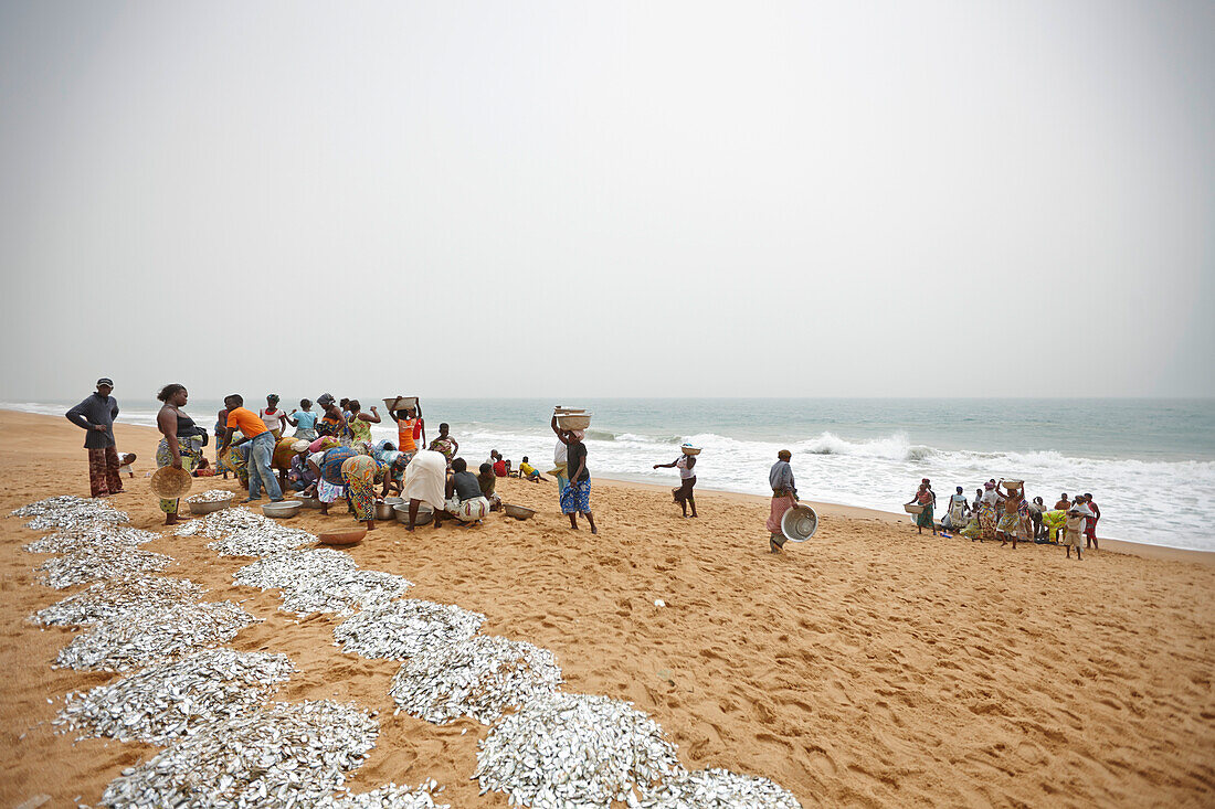 Frauen und Kinder verteilen den frischen Fang eines Schleppnetzes am Strand, Grand-Popo, Mono, Benin