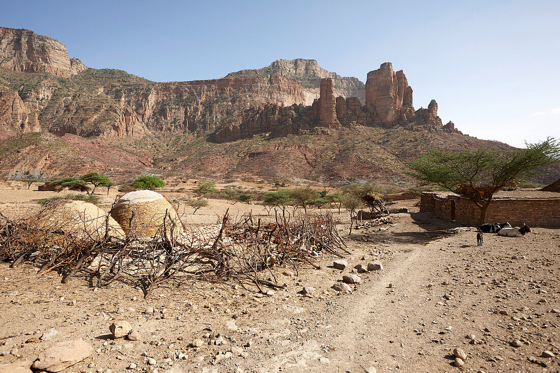 Bauernhof, Felsenkirche Abuna Yemata Guh, Hawzien, Tigray Region, Äthiopien