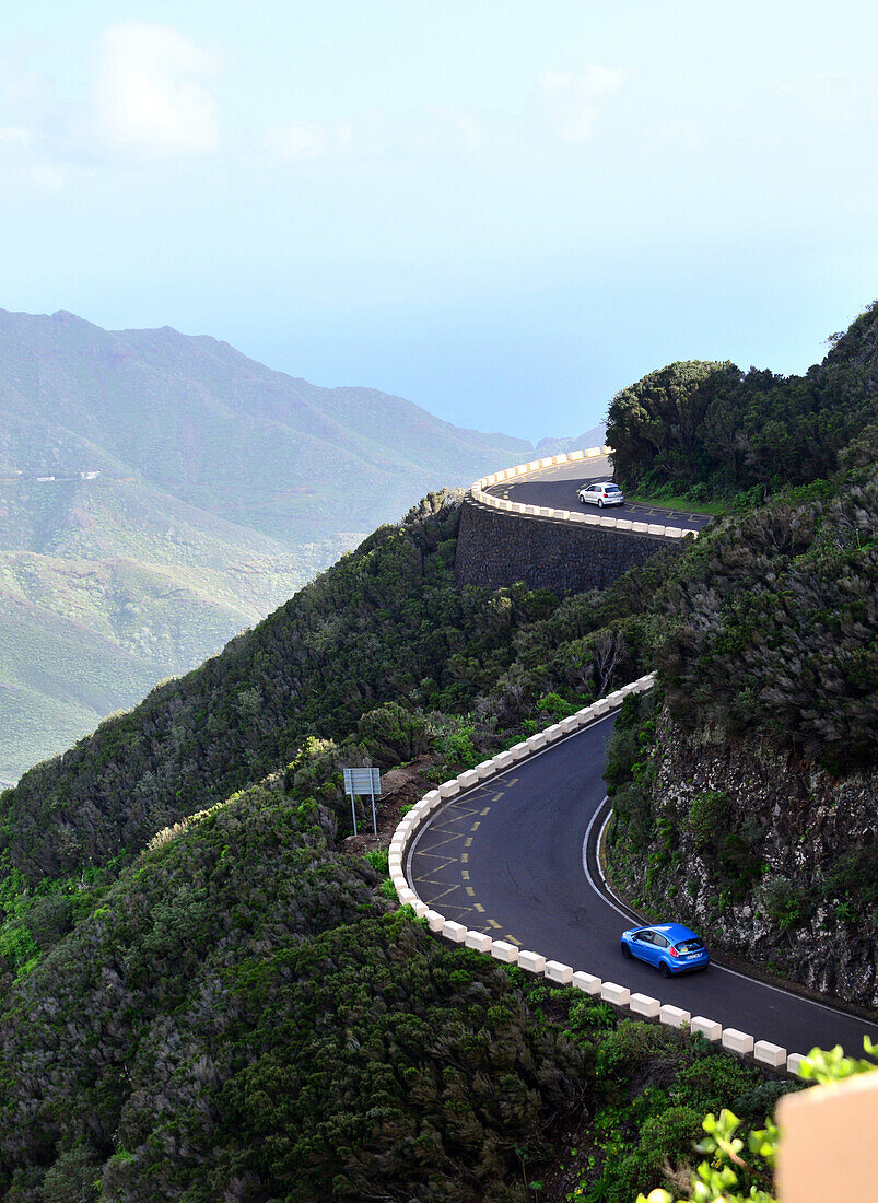 Serpentine im Anaga-Gebirge, Teneriffa, Kanarische Inseln, Spanien