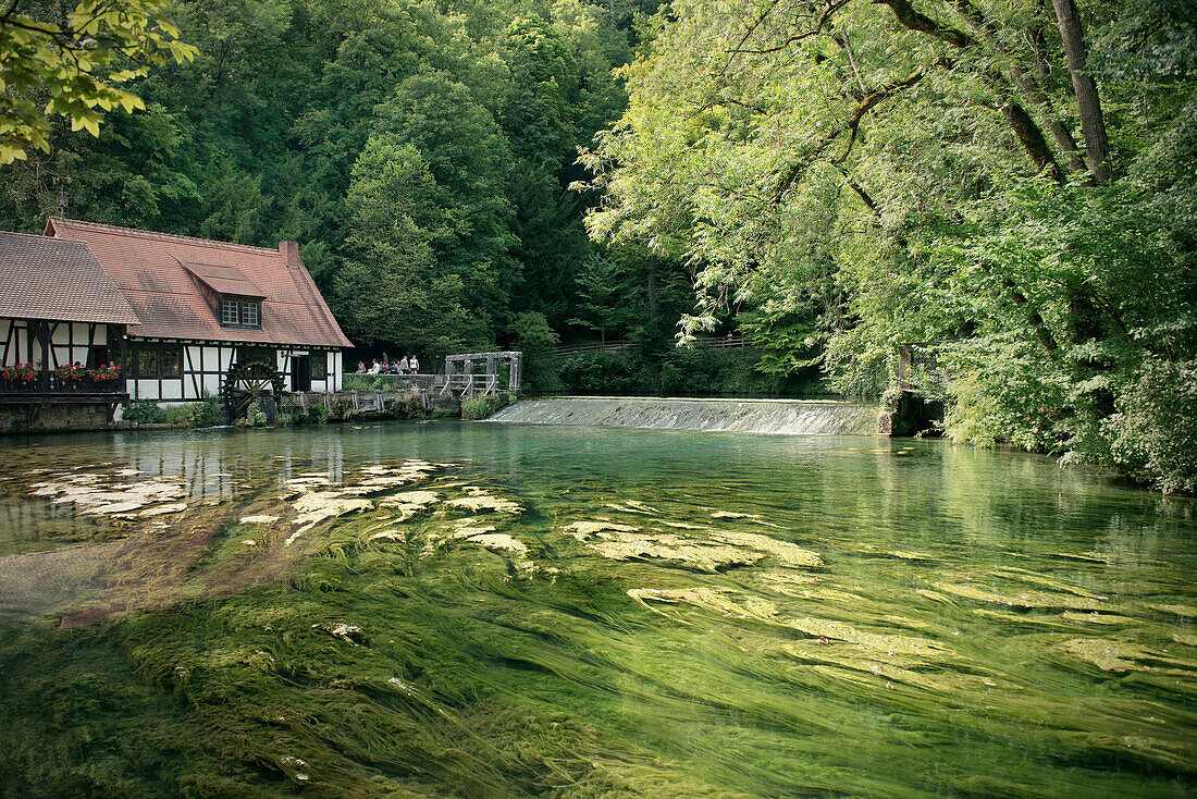 Blau river and hammer mill, Blaubeuren, Baden-Wuerttemberg, Germany