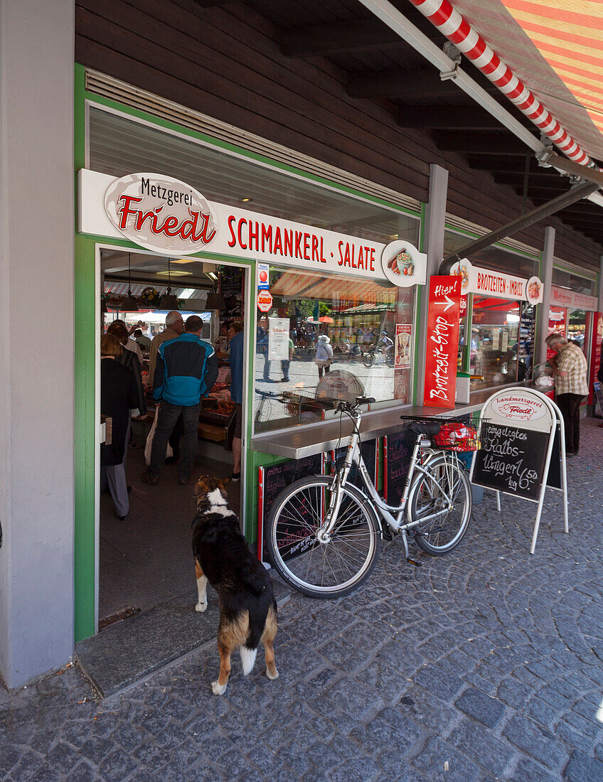 Dog in front of a butchers shop, Viktualienmarkt, Munich, Upper Bavaria, Bavaria, Germany