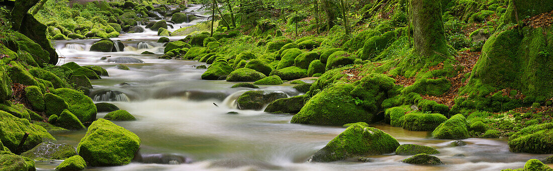 Stream, Grobbach, Geroldsau, Black Forest, Baden-Baden, Baden-Wuerttemberg, Germany