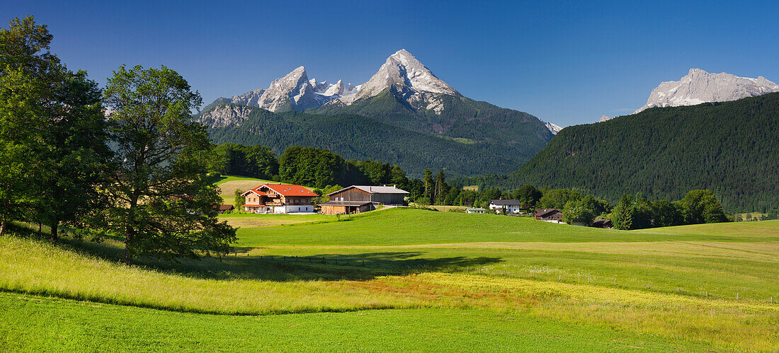 Farm with meadows and fields, Watzmann in the background, Aschauerweiherstrasse, Berchtesgadener Land, Bavaria, Germany