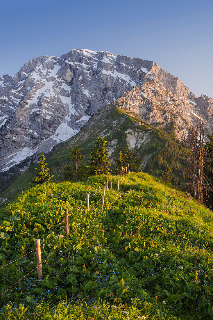 Hoher Göll vom Ahornbüchsenkogel, Grenzzaun zwischen Salzburg und Bayern, Berchtesgadener Land, Bayern, Deutschland, Österreich