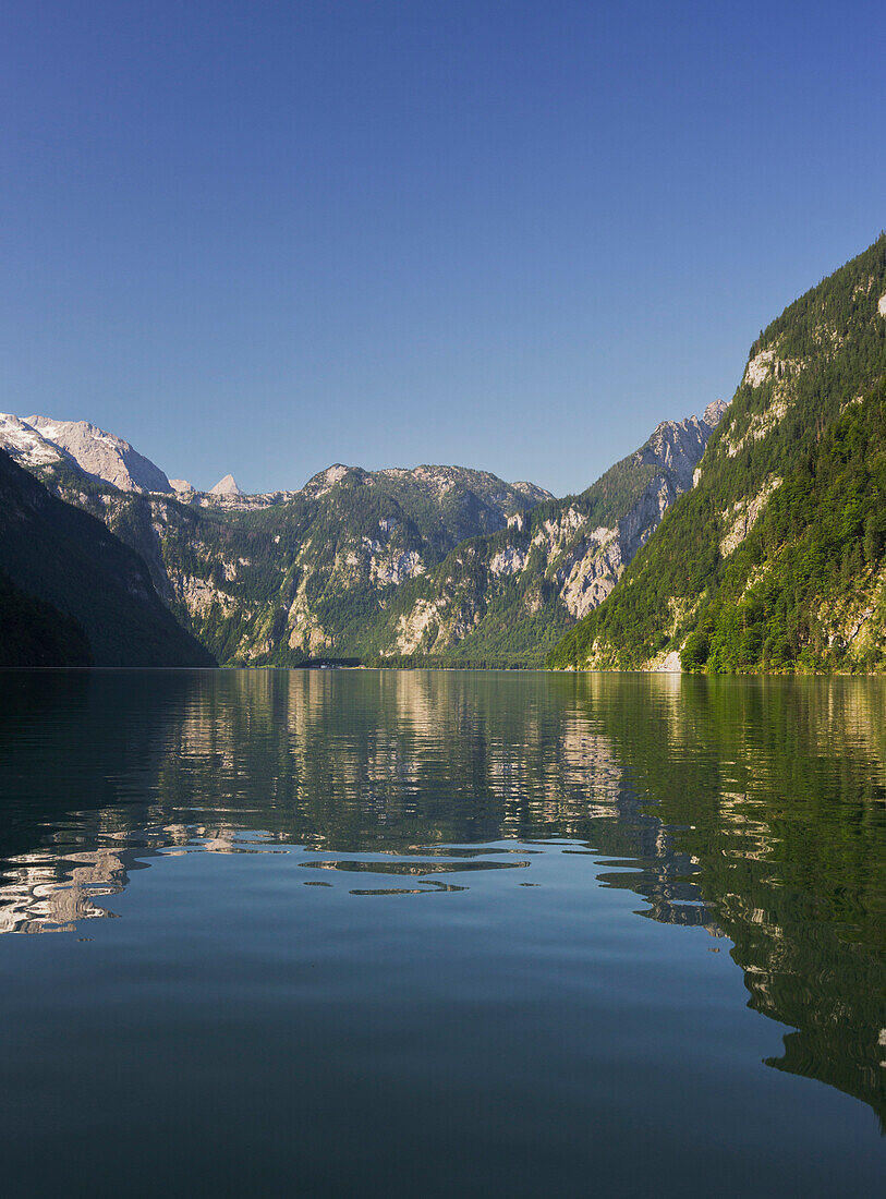 Blick zum Südufer vom Königssee, Steinernes Meer, Nationalpark Berchtesgaden, Berchtesgadener Land, Bayern, Deutschland