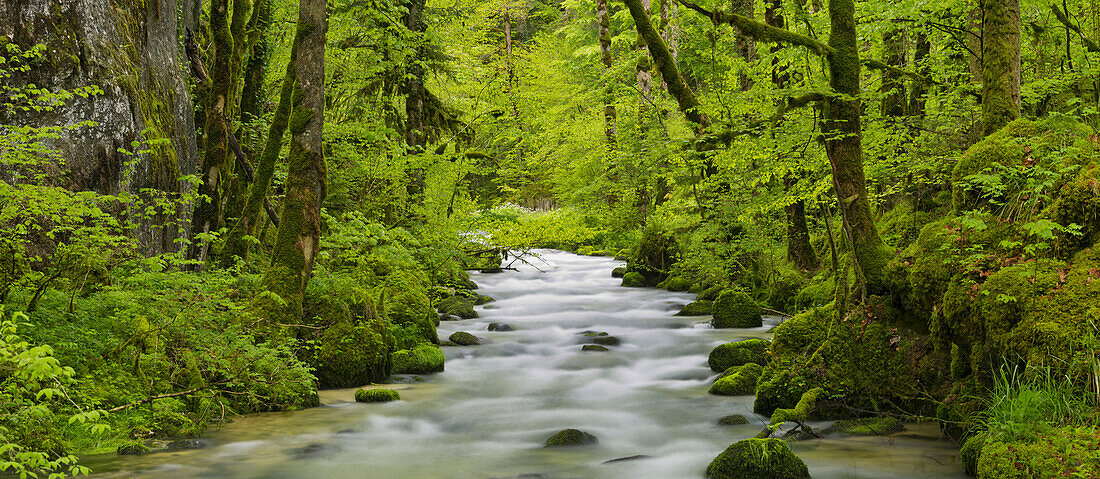 Fluss Le Dessoubre, Cirque de la Consolation, Doubs, Frankreich