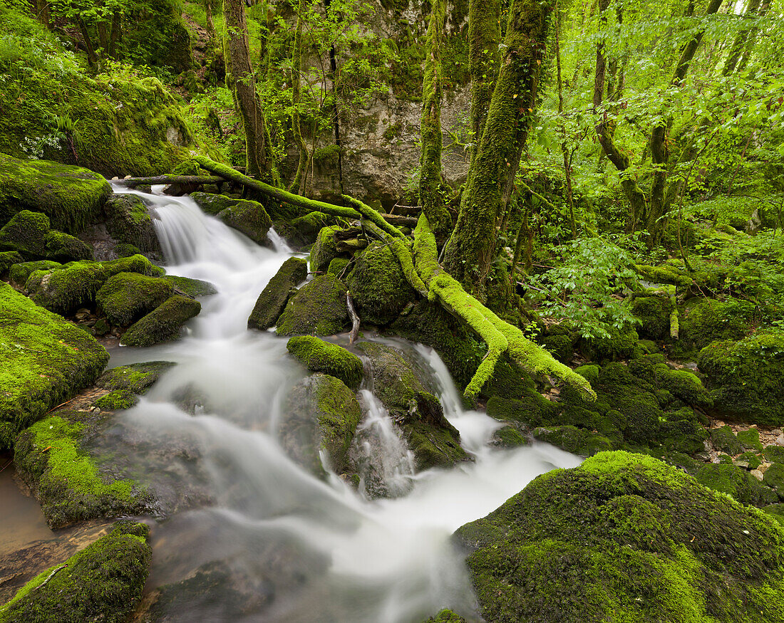 Cascade du Verneau, Nans-sous-Sainte-Anne, Doubs, France