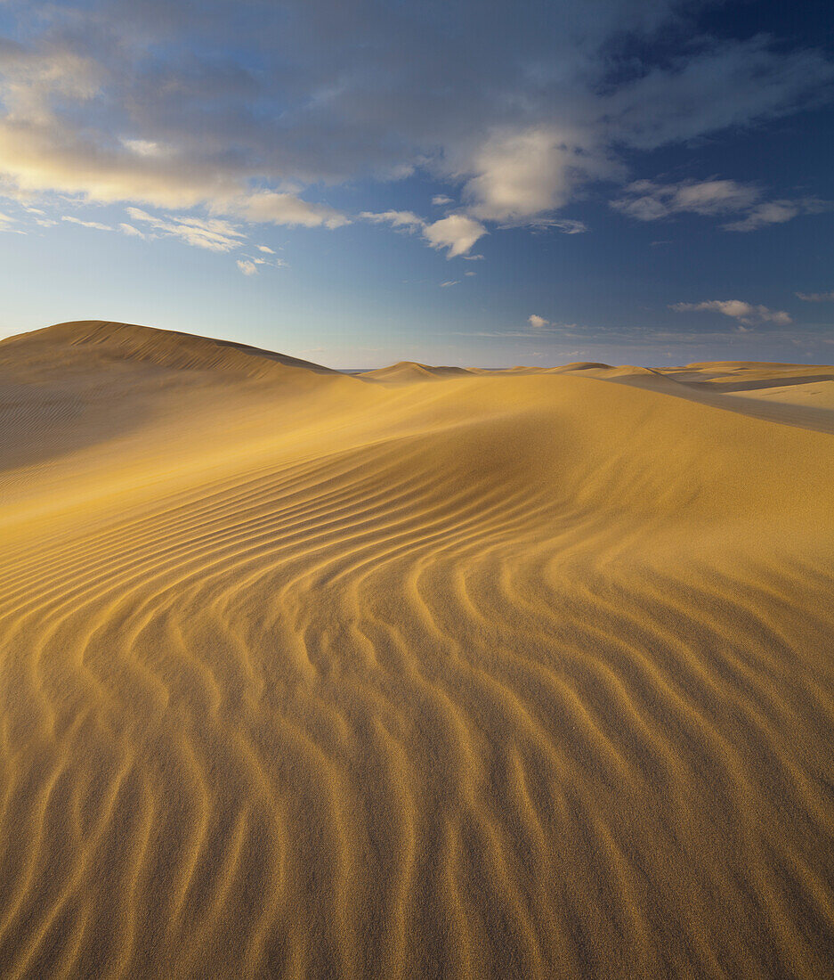 Dunes near Maspalomas, Gran Canaria, Canary Islands, Spain