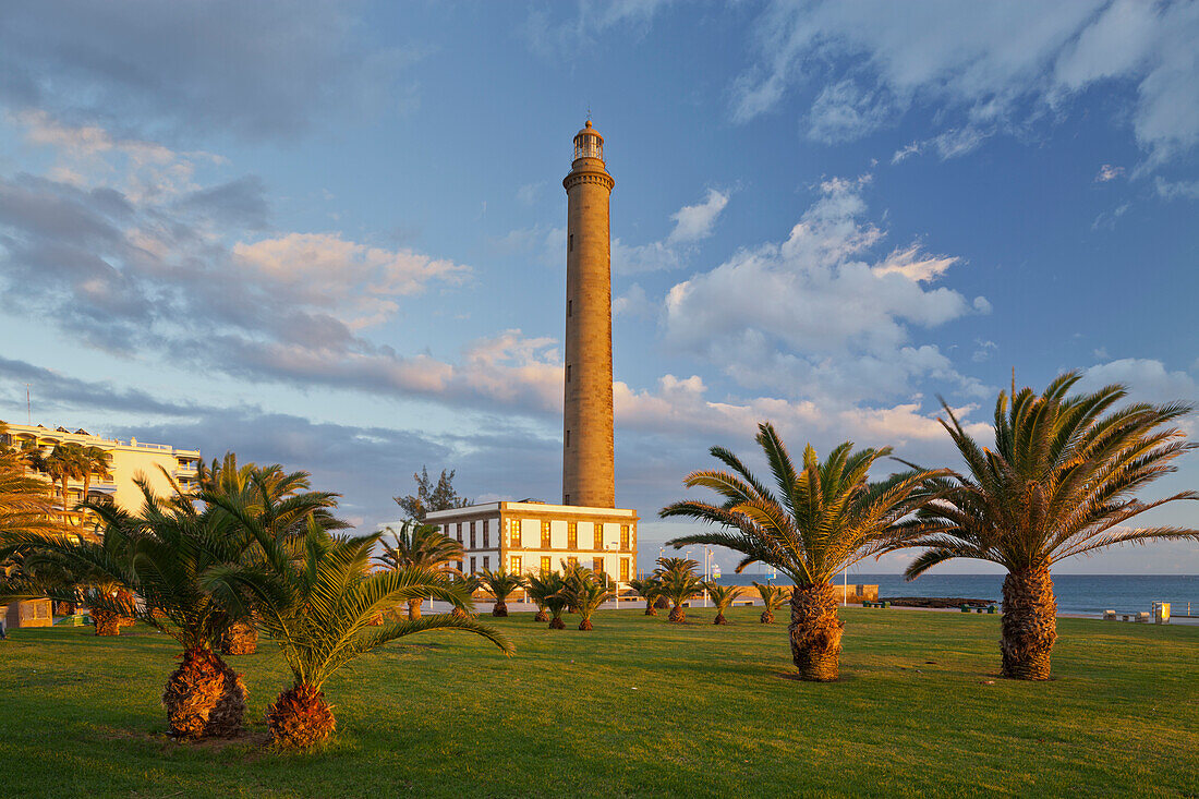 Lighthouse in Maspalomas with palm trees, Gran Canaria, Canary Islands, Spain