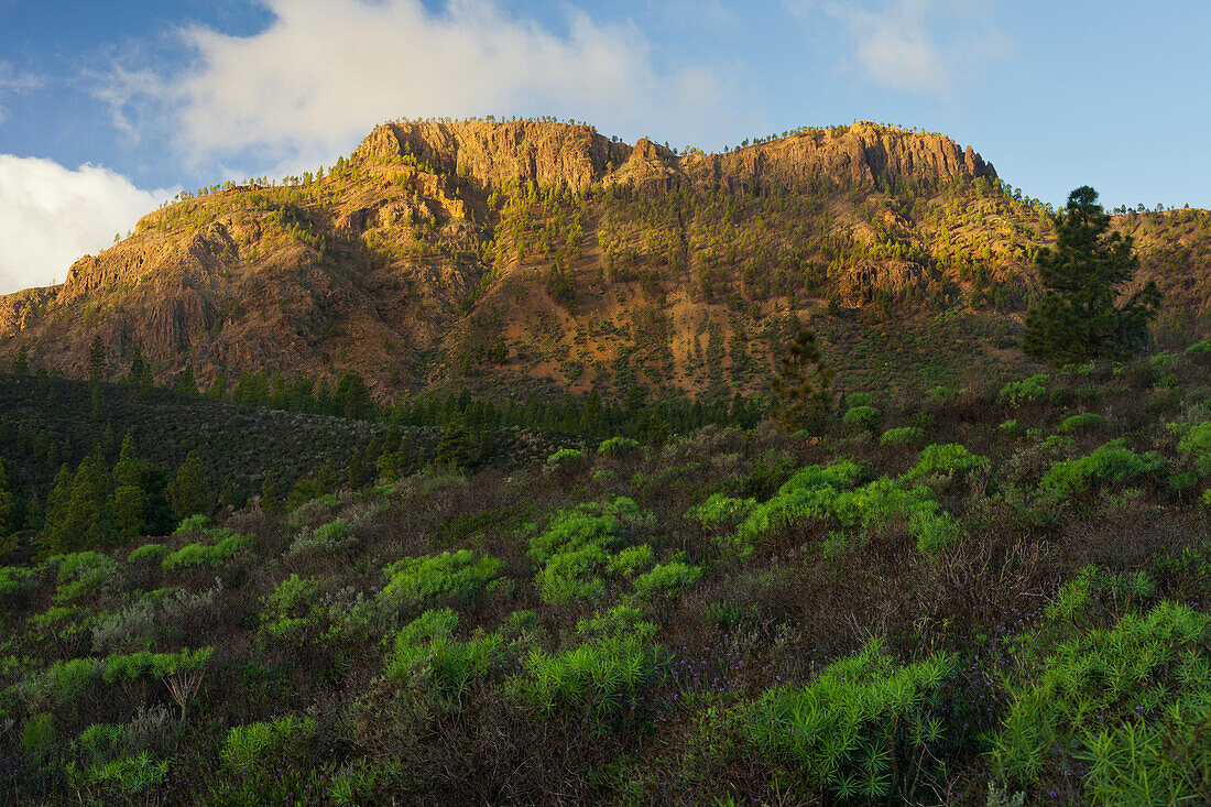 El Gigante mountain near Arteara, Gran Canaria, Canary Islands, Spain