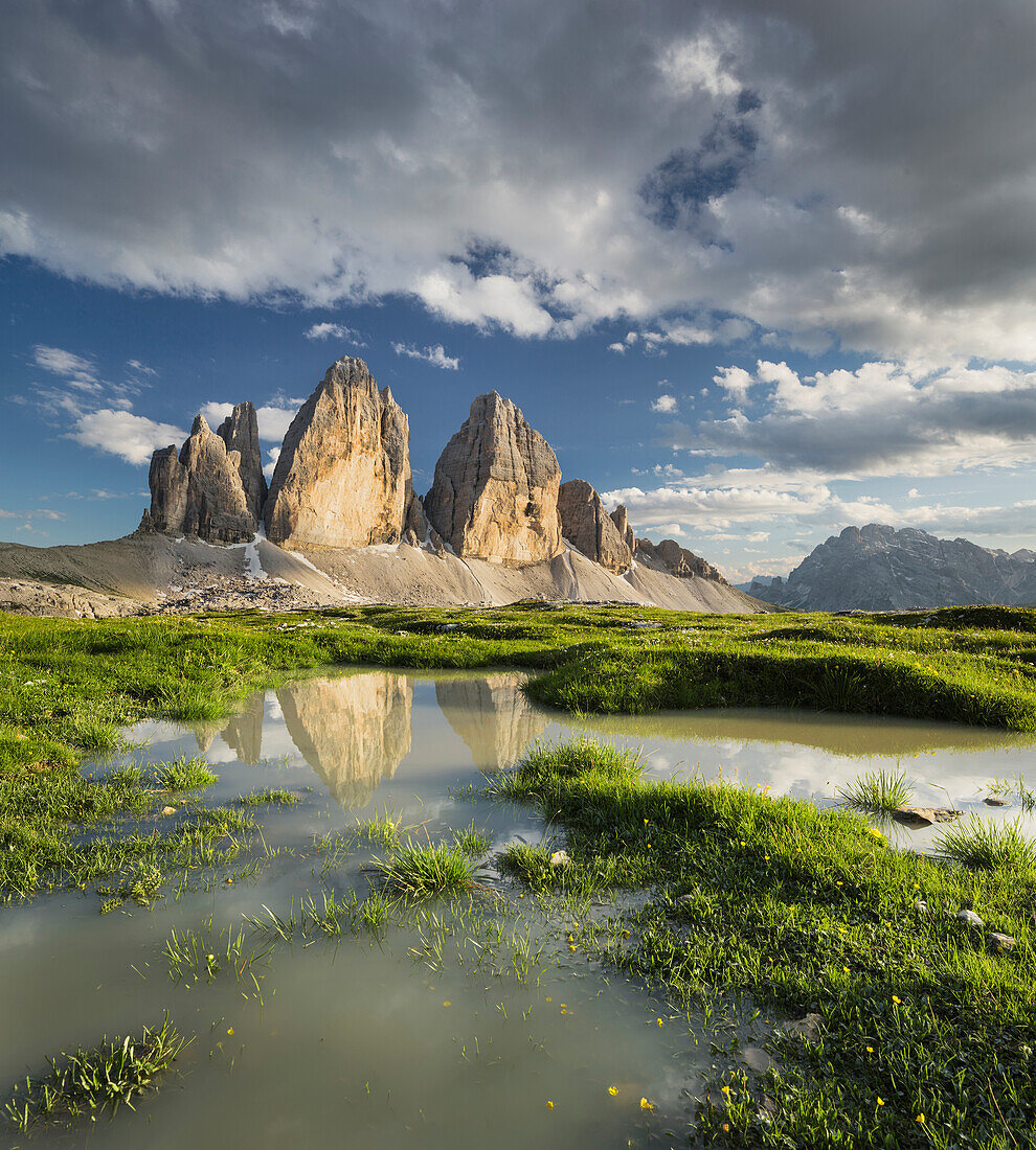 Tre Cime Di Lavaredo, Drei Zinnen mit Spiegelung in einer Pfütze, Wiese, Südtirol, Dolomiten, Italien