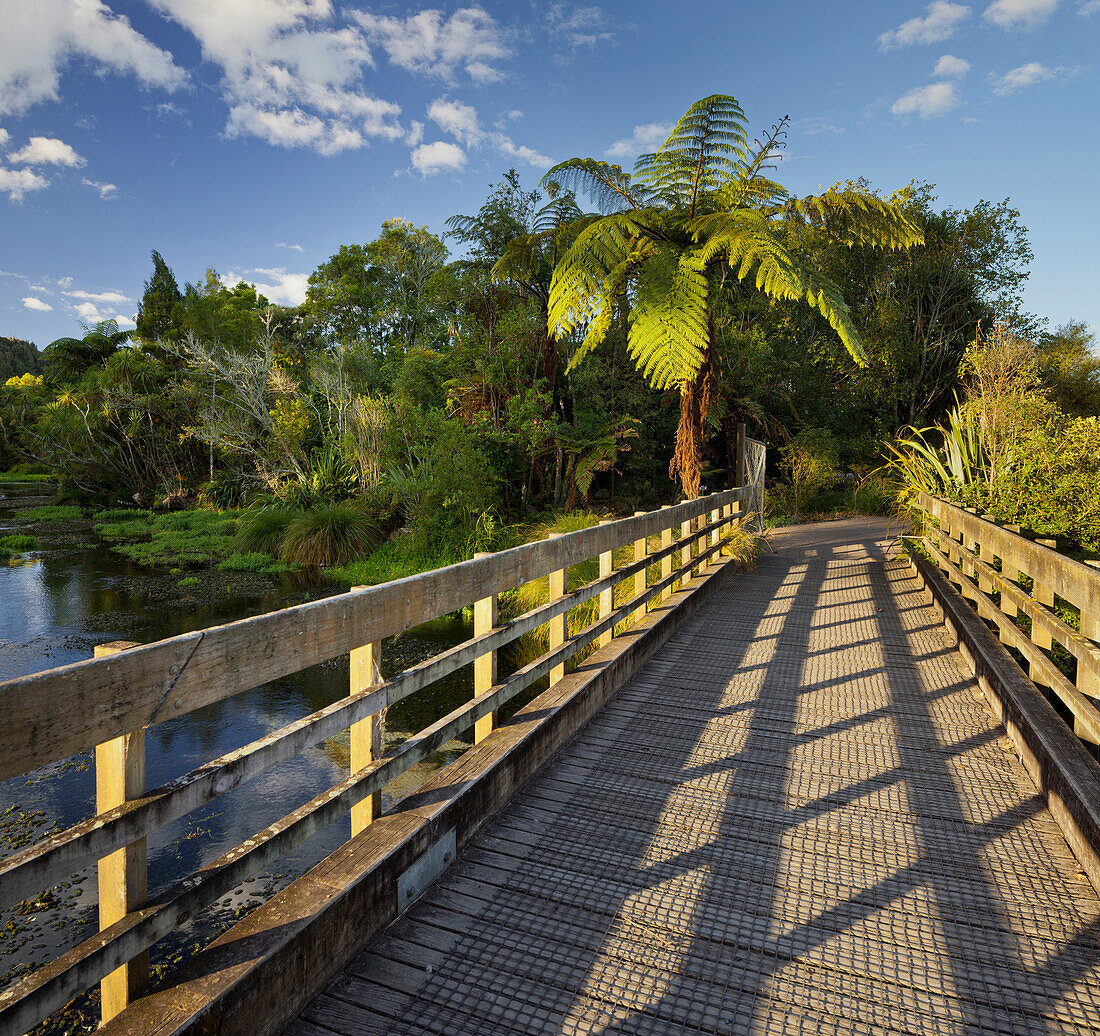 Hamurana Springs, Rotorua, Bay of Plenty, Nordinsel, Neuseeland