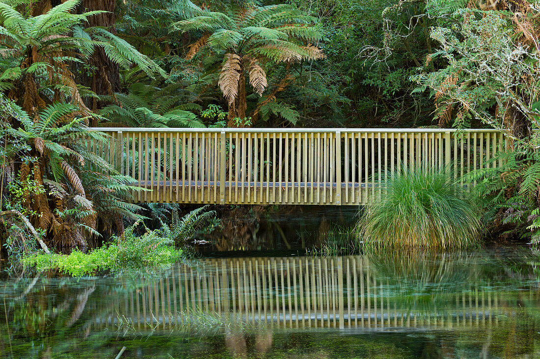 Hamurana Springs, Rotorua, Bay of Plenty, Nordinsel, Neuseeland