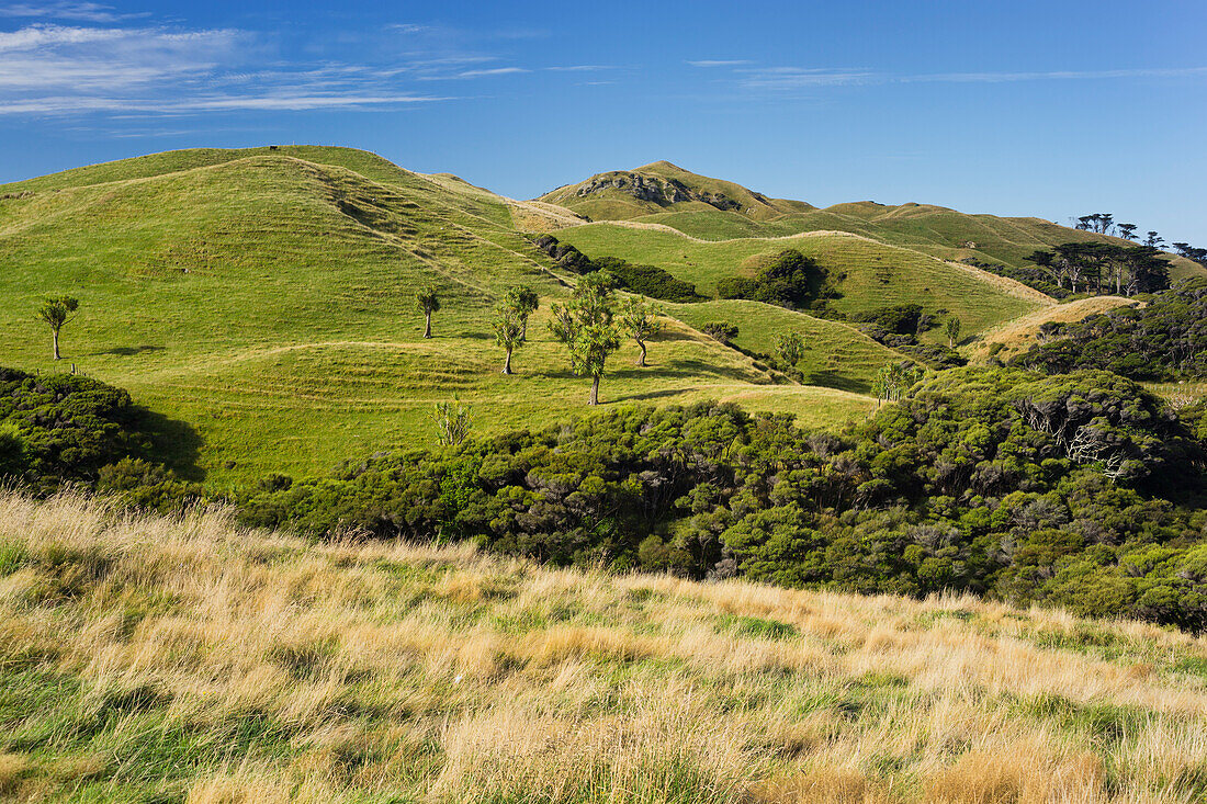 Wharariki, Tasman, South Island, New Zealand