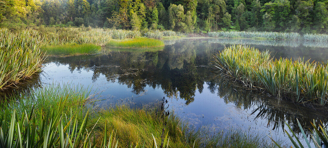 Lake Matheson, West Coast, Südinsel, Neuseeland