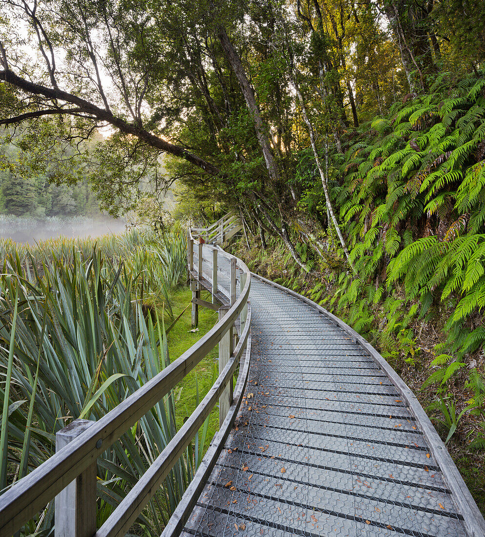 Besuchersteg am Lake Matheson, West Coast, Südinsel, Neuseeland
