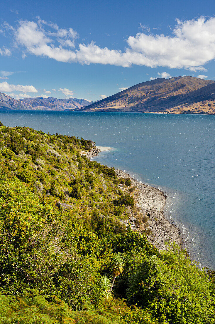 Lake Wanaka, Otago, South Island, New Zealand