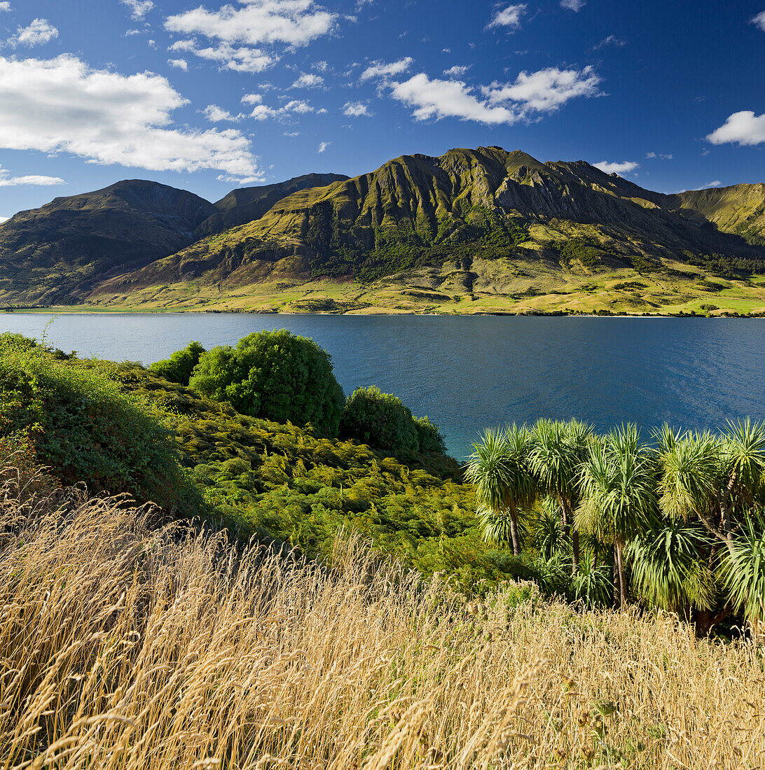 Sentinel Peak, Lake Hawea, Otago, South Island, New Zealand