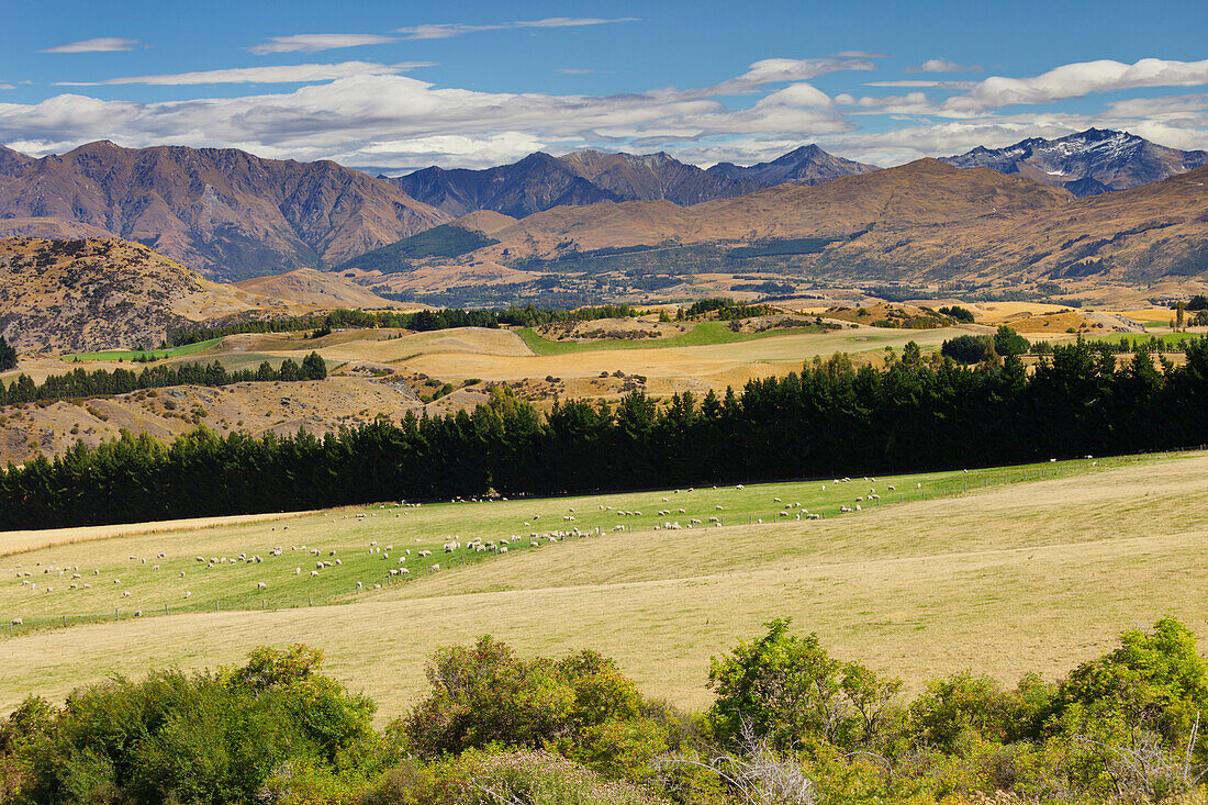 Landscape near Arrowtown, Otago, South Island, New Zealand