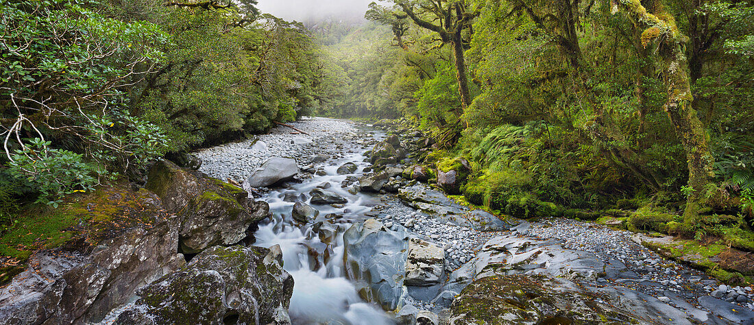 Cleddau River, The Chasm Gorge, Fiordland National Park, Southland, South Island, New Zealand