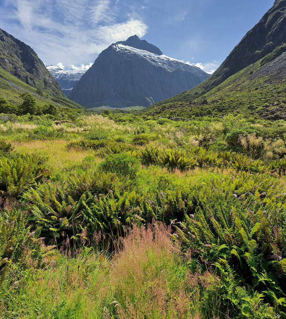 Mount Talbot with ferns in the foreground, Fiordland National Park, Southland, South Island, New Zealand