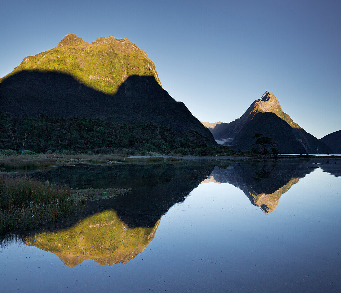 Milford Sound with reflection, Fiordland National Park, Southland, South Island, New Zealand