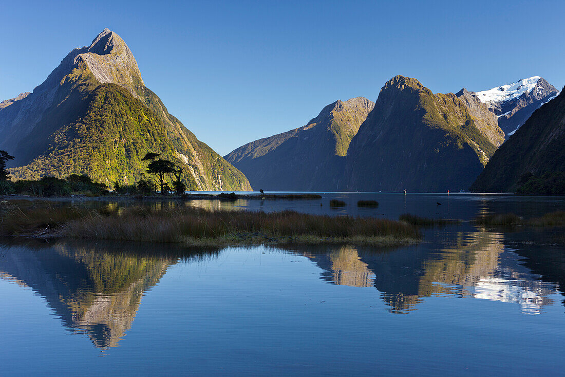 Milford Sound mit Spiegelung, Fiordland Nationalpark, Southland, Südinsel, Neuseeland