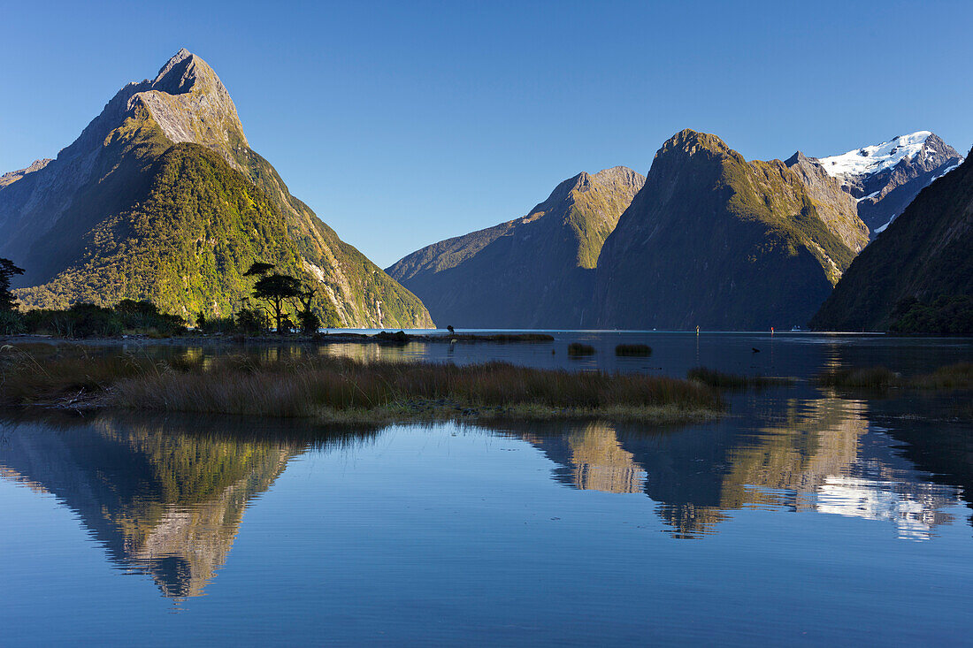 Milford Sound with reflection, Fiordland … – License image – 70469660 ...
