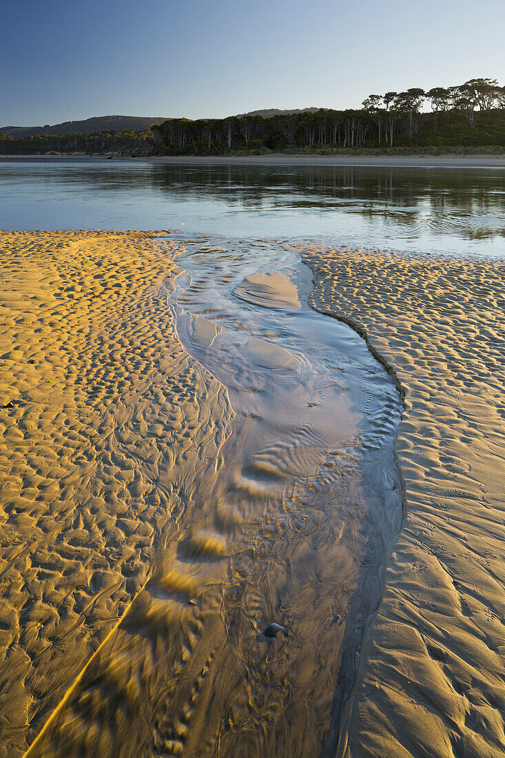 Beach at Tahakopa Bay, Papatowai, Catlins, Otago, South Island, New Zealand