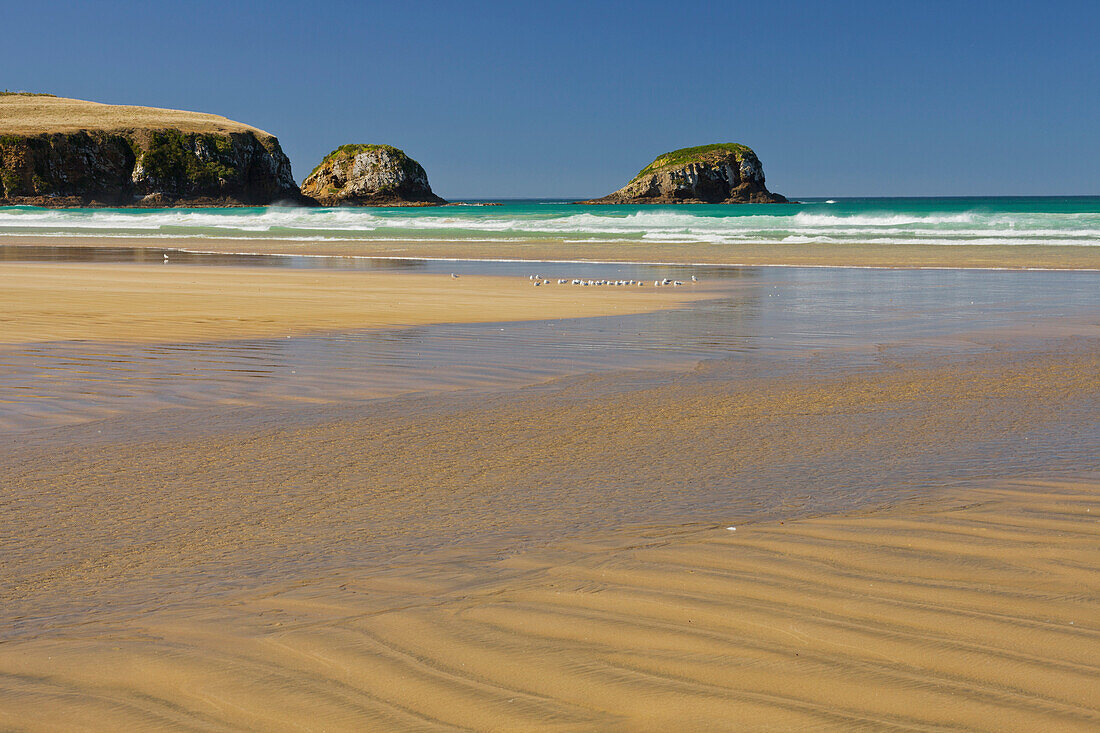 Sandy beach at Tautuku Bay, Otago, South Island, New Zealand