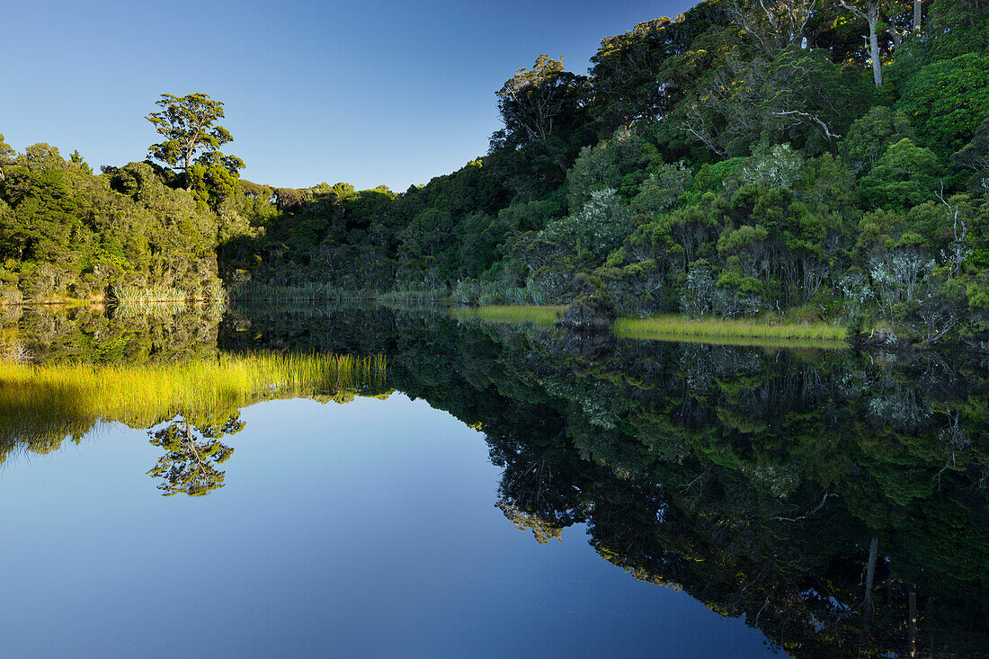 Lake Wilkie, Catlins, Otago, Südinsel, Neuseeland