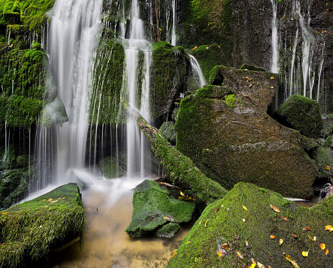 Purakanui Falls, Catlins, Otago, South Island, New Zealand