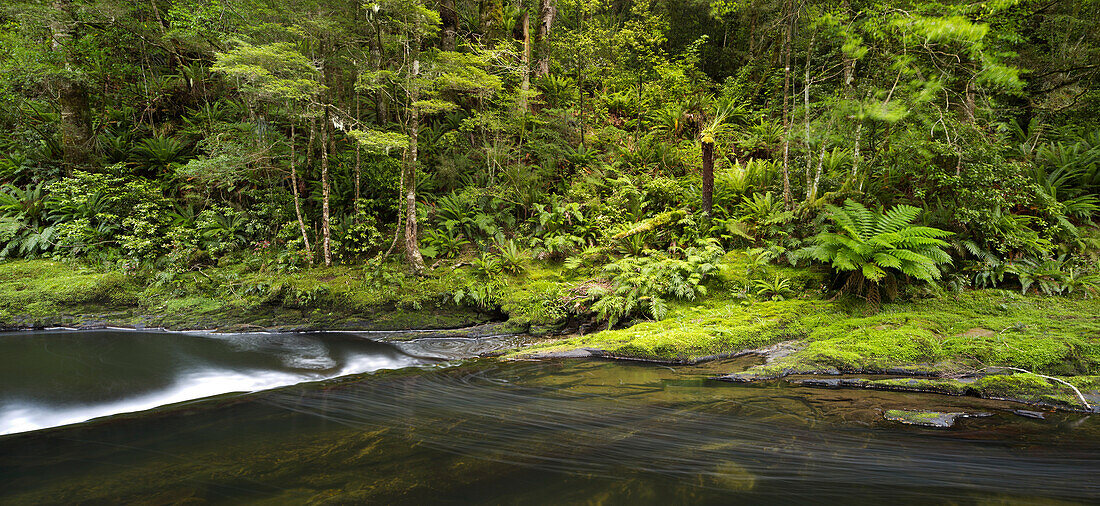 Catlins River, Southland, South Island, New Zealand