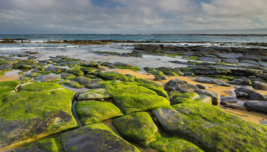 Waipapa coast, Catlins, Southland, South Island, New Zealand