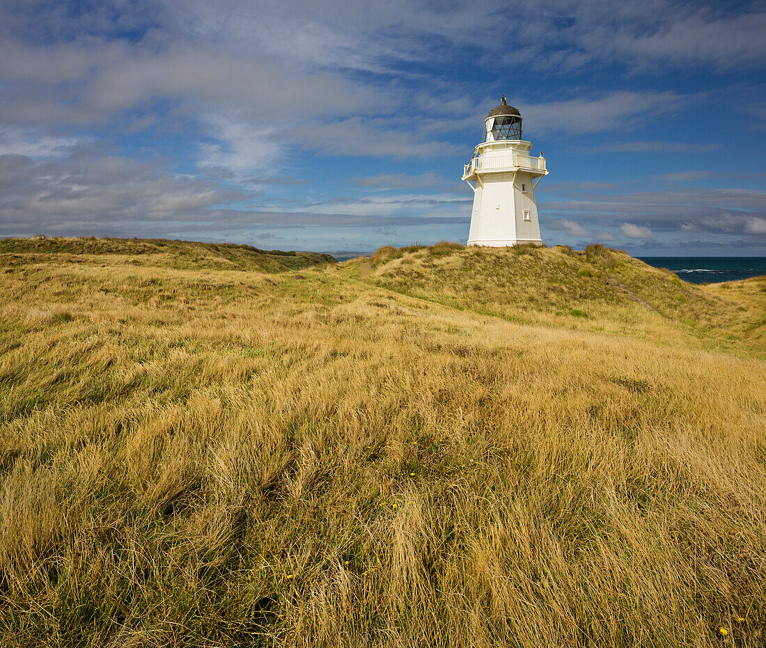 Waipapa lighthouse, Catlins, Southland, South Island, New Zealand