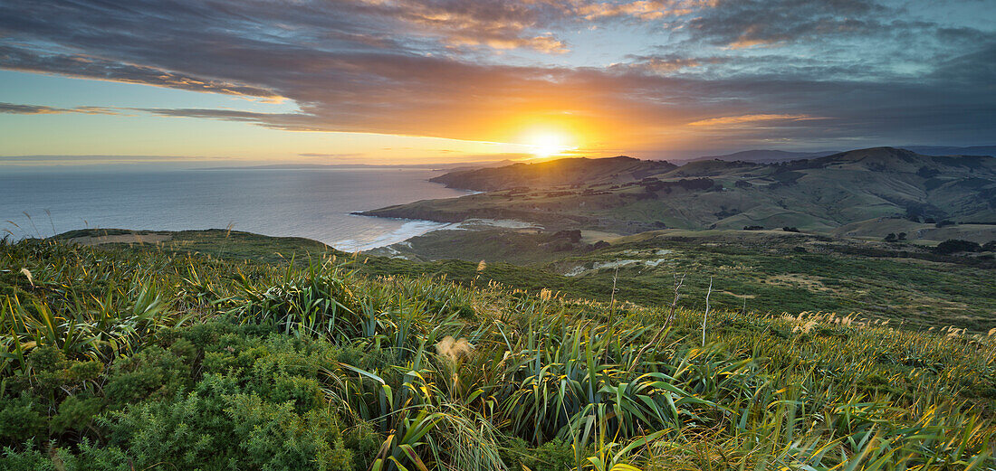 Sandy Mount, Dunedin, Otago, Südinsel, Neuseeland