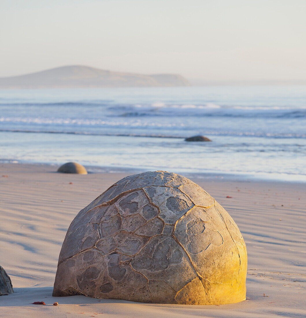 Moeraki Boulders in the morning light, Otago, South Island, New Zealand