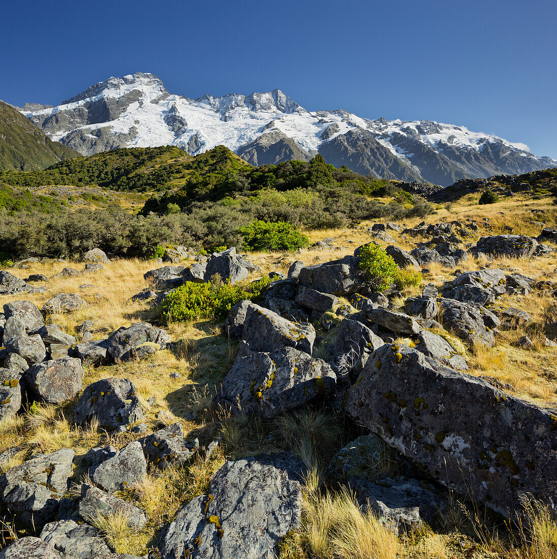 Mount Sefton, Mount Cook Nationalpark, Canterbury, Südinsel, Neuseeland