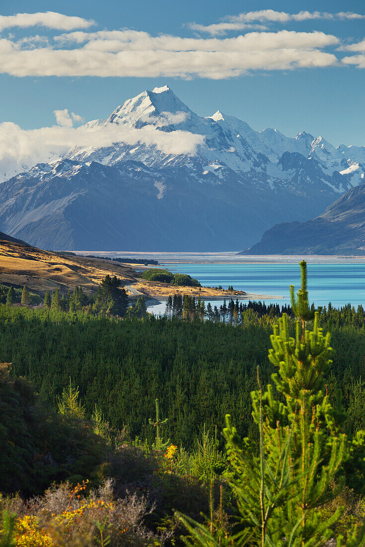 Lake Pukaki, Aoraki, Mount Cook National park, Canterbury, South Island, New Zealand