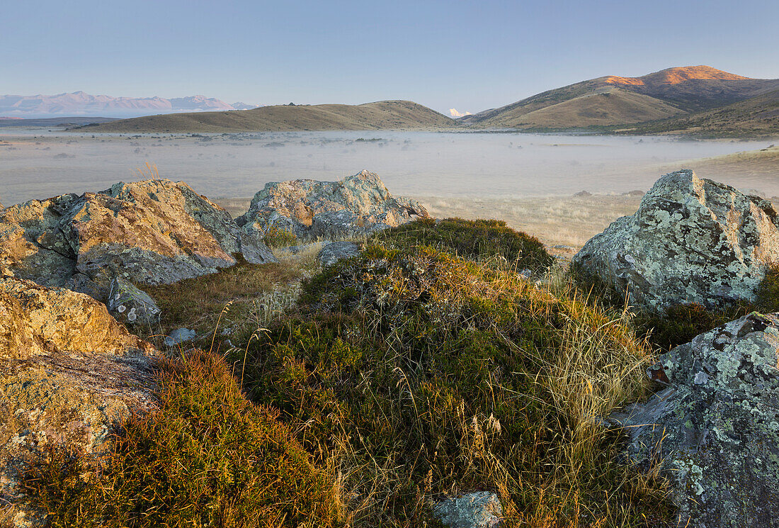 Sunrise over a meadow, Rocks, Otago, Otago, South Island, New Zealand