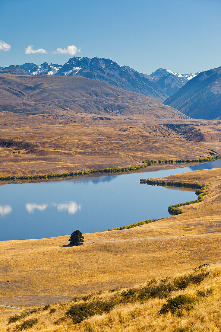 Lake Alexandrina, Tekapo, Canterbury, Südinsel, Neuseeland