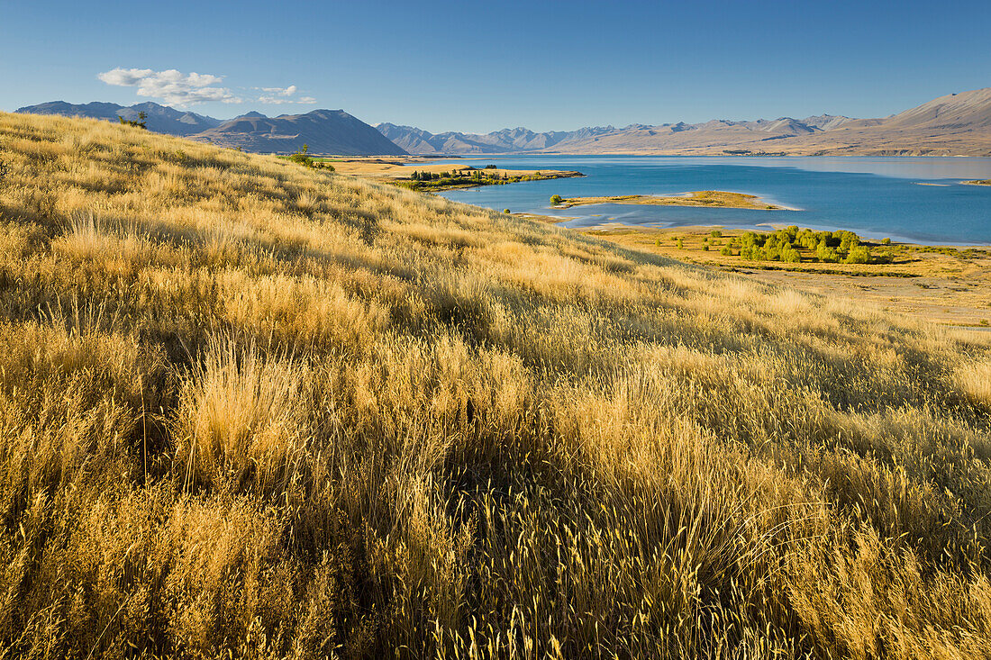 Lake Tekapo, Canterbury, South Island, New Zealand