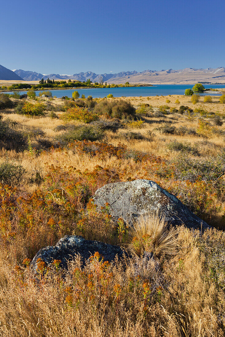 Lake Tekapo, Canterbury, Südinsel, Neuseeland