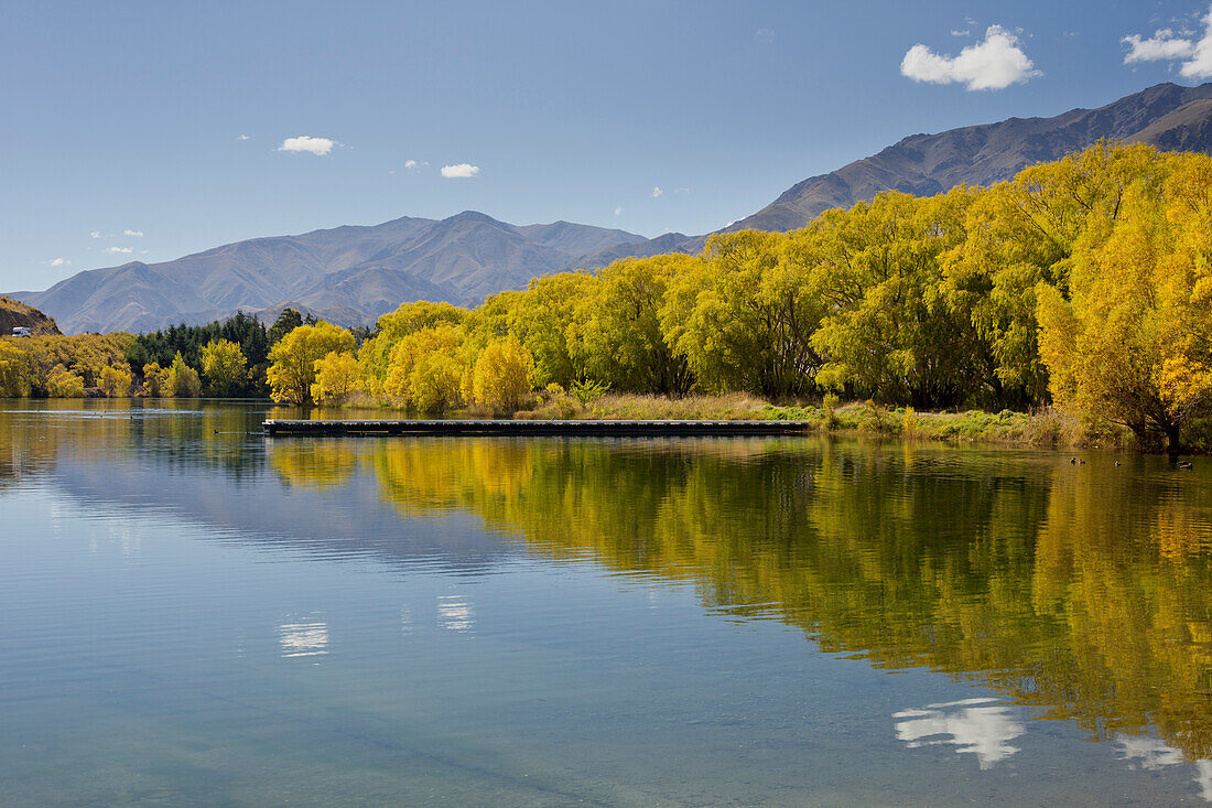 Weiden am Ufer, Steg, Lake Benmore, Otago, Südinsel, Neuseeland