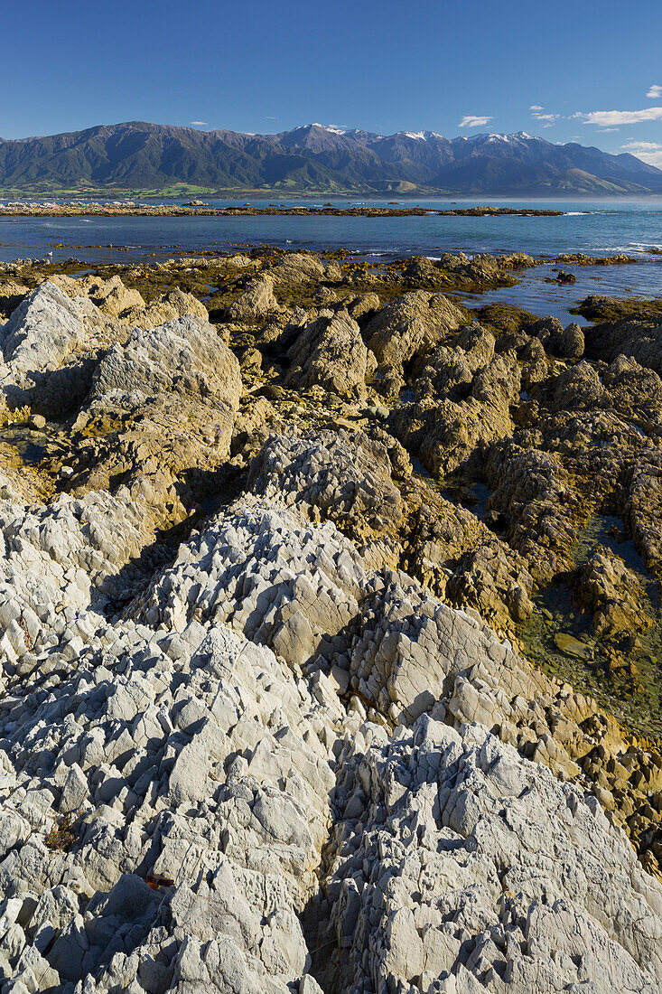 Gesteinsformationen, Kaikoura Halbinsel, Manakau Berge, Canterbury, Südinsel, Neuseeland